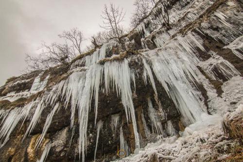 Fotografía artística de naturaleza en Vitoria-Gasteiz